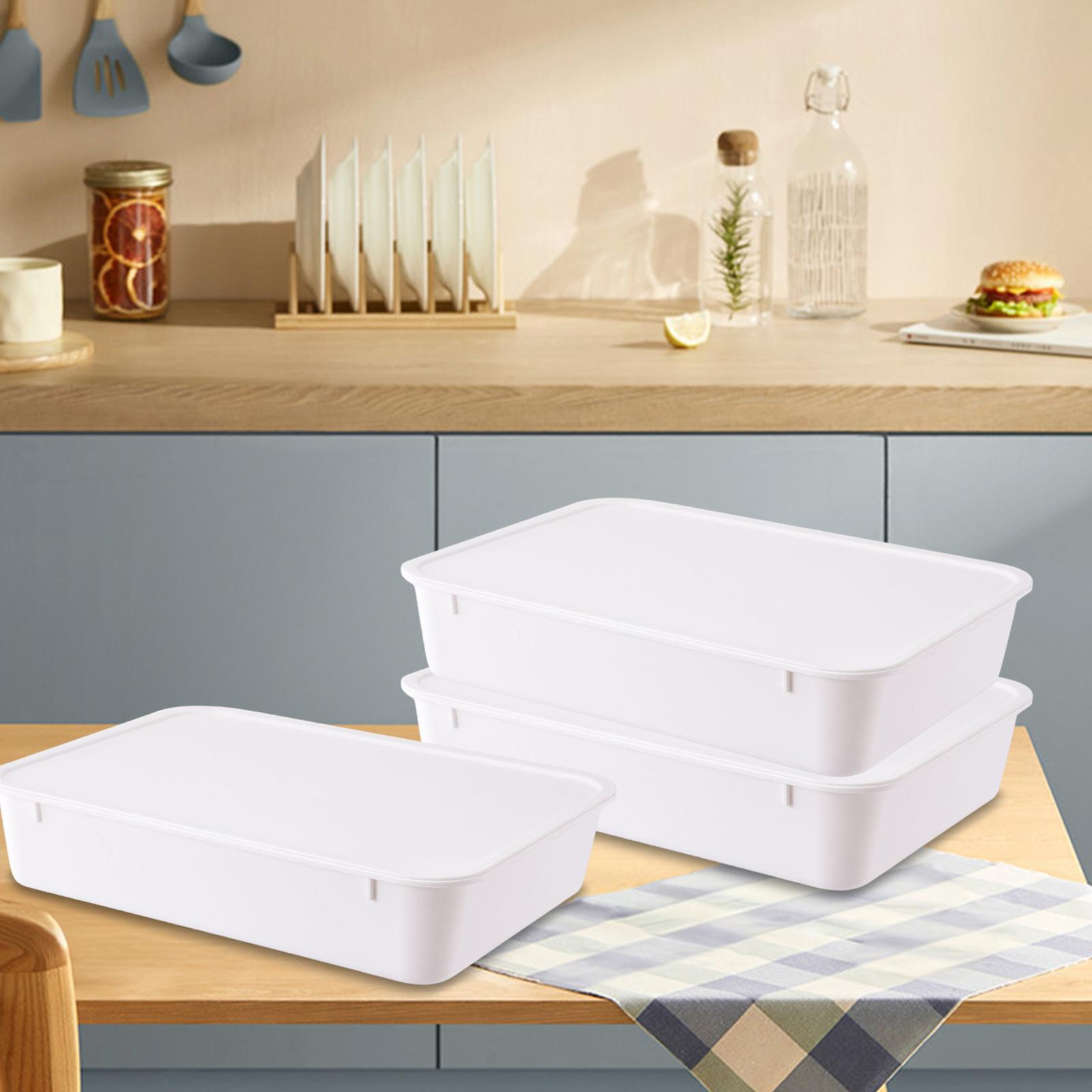 Kotak Fermentasi Adonan Pizza, - Kitchen Baking Storage Containers ulasan dan harga