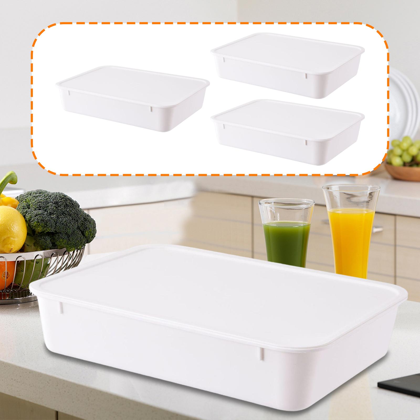 Kotak Fermentasi Adonan Pizza, - Kitchen Baking Storage Containers ulasan dan harga