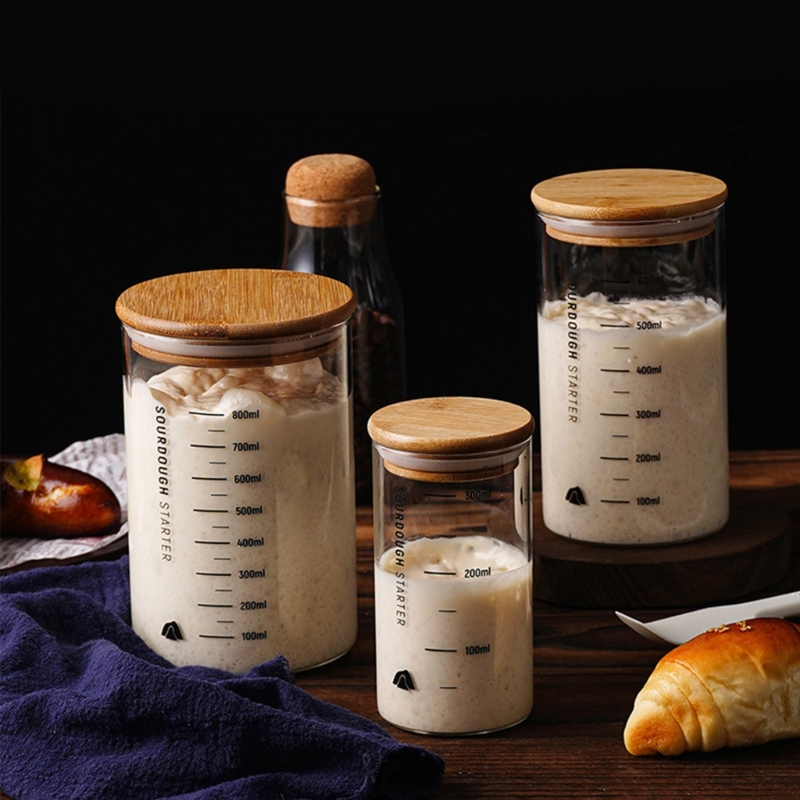 Toples Penyimpanan Sourdough A - Kitchen Baking Storage Containers ulasan dan harga